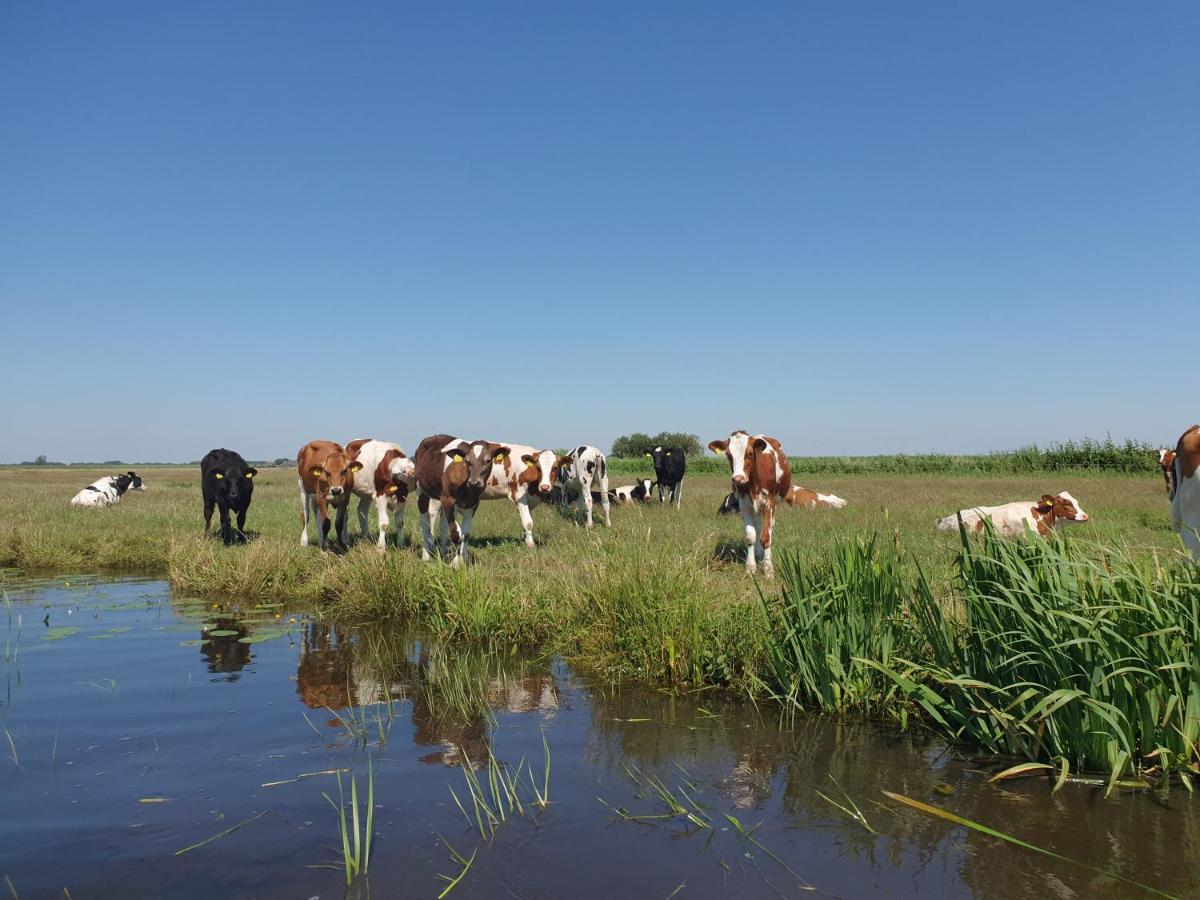 Vakantiehuisje 'T Wiede Blokzijl Exterior foto